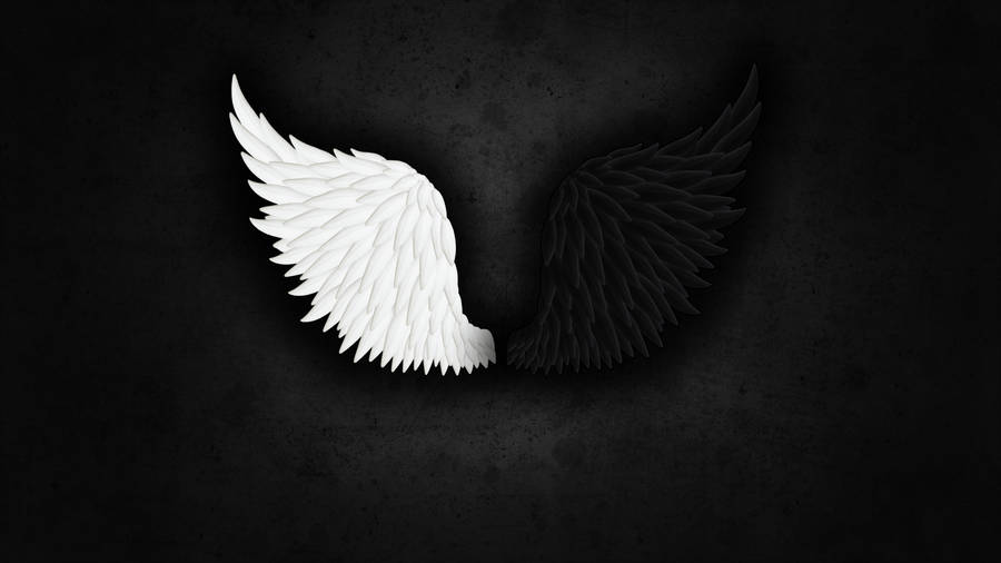Cartoon Angel Wings In Black And White Drawn B