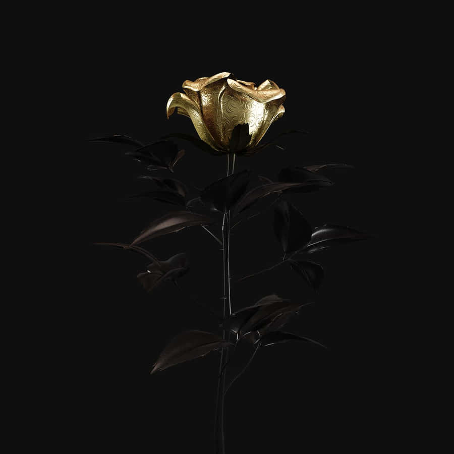 wallpaper background black. Black and gold rose wallpaper