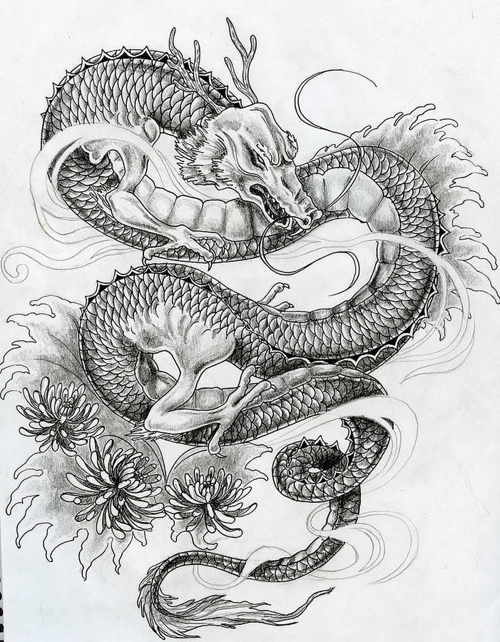 Tattoo Art, Sketch Of A Japanese Warrior