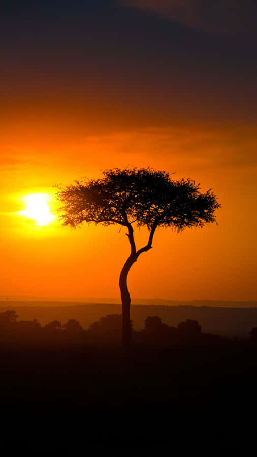 african tree outline