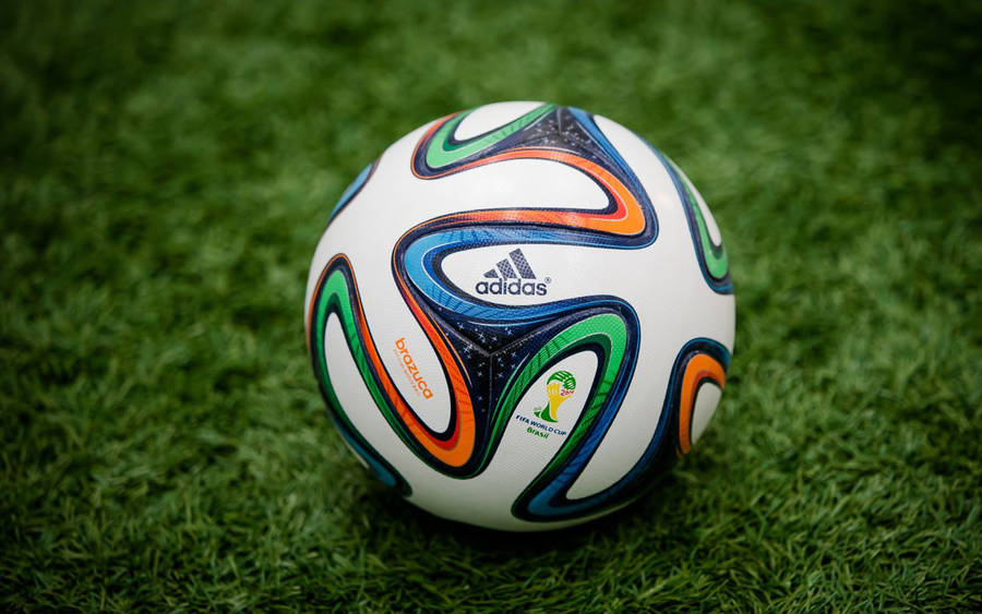 World Cup 2010 Soccer Ball