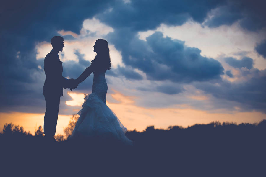 Wedding Silhouettes Isolated On White Background