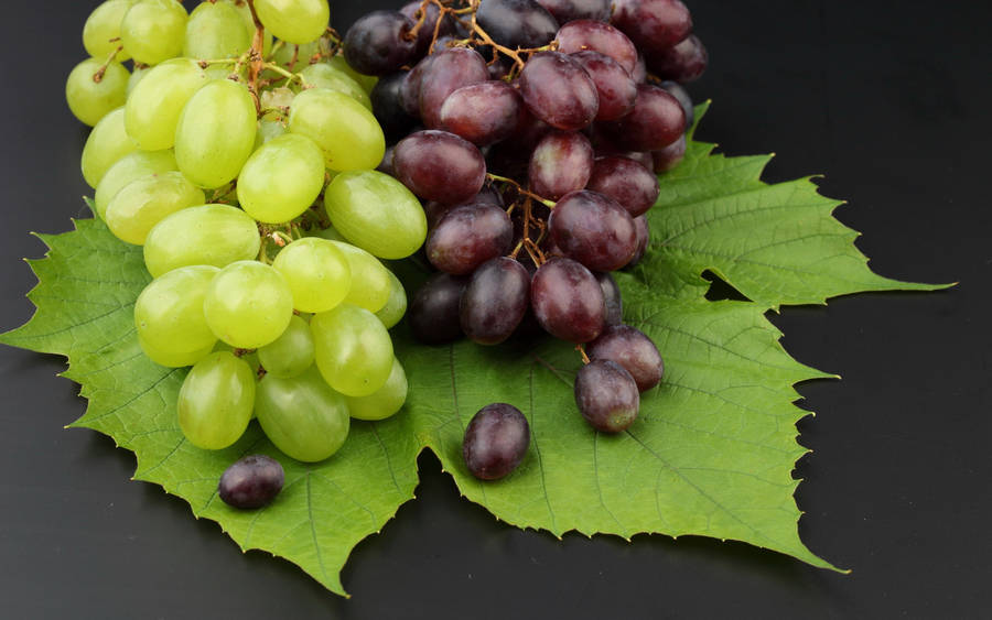 grapes wallpaper. Green And Red Grapes